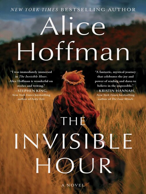 Cover image for The Invisible Hour